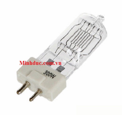 Bóng Đèn Spotlight 300W