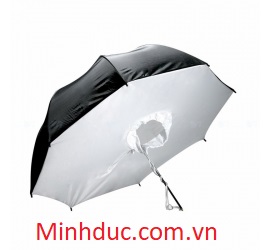 Dù Hộp Dragon Phản xuyên 43 inch