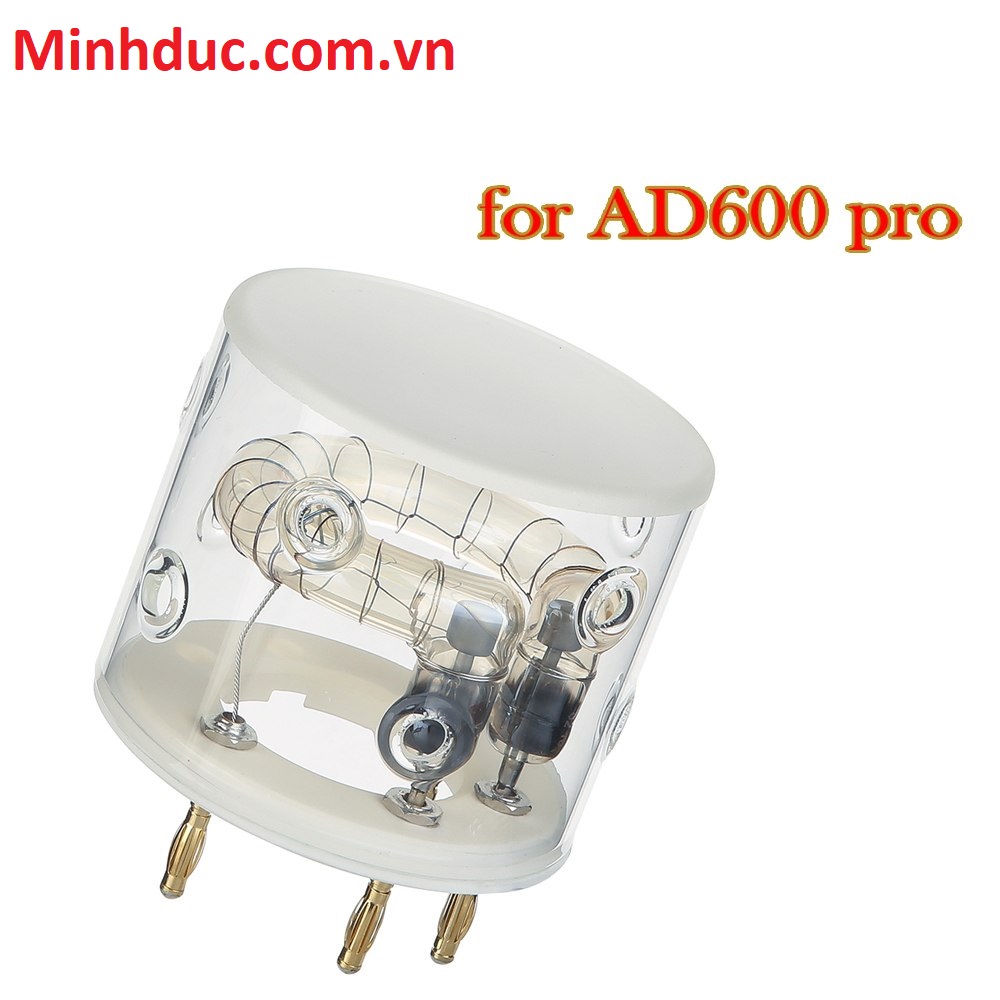 Bóng đèn AD600 pro FT600